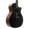 Taylor 324ce Blacktop LTD Elektro Akustik Gitar (Blacktop)<br>Fotoğraf: 3/5