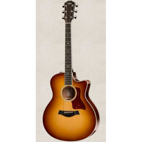 Taylor 516CE Elektro Akustik Gitar<br>Fotoğraf: 1/3