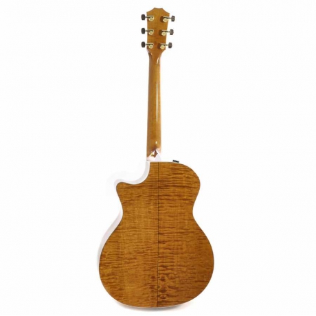 Taylor 614CE Elektro Akustik Gitar (Brown Sugar Stain)<br>Fotoğraf: 2/4