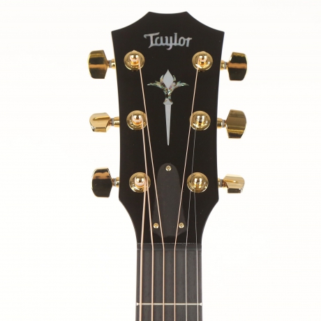 Taylor 814ce Cocobolo LTD Elektro Akustik Gitar (Natural)<br>Fotoğraf: 4/5
