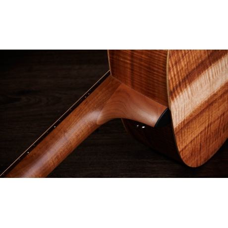 Taylor Academy 10e LTD Elektro Akustik Gitar<br>Fotoğraf: 6/9