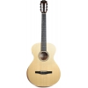 Taylor Academy12E-N Elektro Klasik Gitar (Natural)<br>Fotoğraf: 1/3