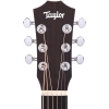Taylor Bt Koa Akustik Gitar<br>Fotoğraf: 4/6