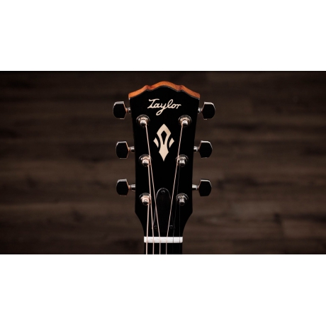 Taylor Gold Label 717e Elektro Akustik Gitar<br>Fotoğraf: 10/10