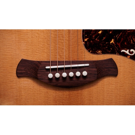 Taylor Gold Label 814e Elektro Akustik Gitar<br>Fotoğraf: 10/10