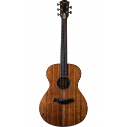 Taylor JCSM-5 Jacob Collier Signature 5 Telli Elektro Akustik Gitar (Natural ...