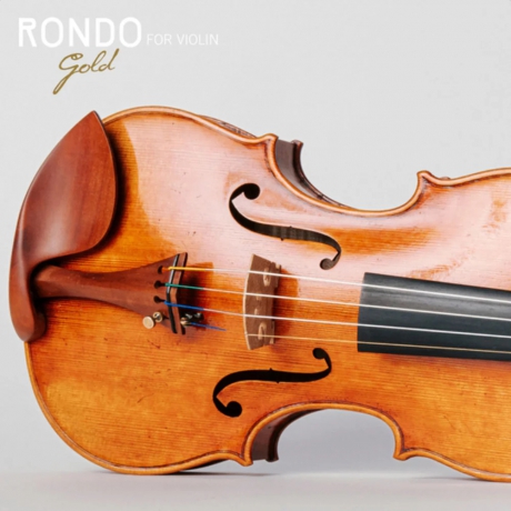 Thomastik RG100 Rondo Gold 4/4 Medium Set Keman Teli<br>Fotoğraf: 2/2