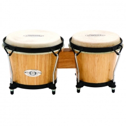 Toca 2100N Synergy Natural Gloss Bongo