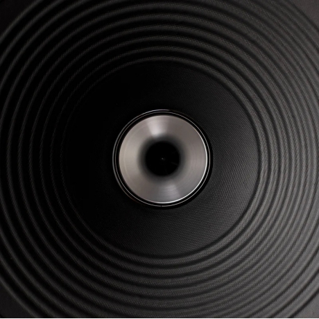 Vestlyd V12c Çift Pasif Hoparlör (Siyah)<br>Fotoğraf: 3/4