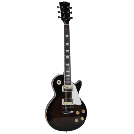 Vines Music L-G9-P1-B-BK Elektro Gitar<br>Fotoğraf: 3/4