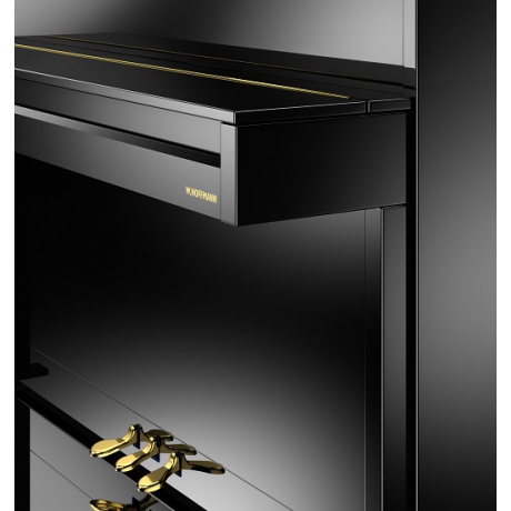 W.Hoffmann Vision V2 Upright Piyano (Siyah)<br>Fotoğraf: 5/5