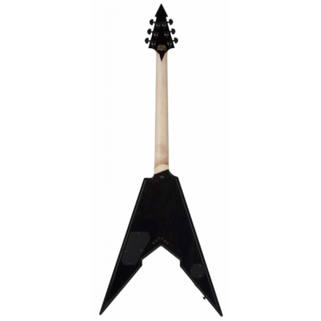 Wylde Audio Viking Elektro Gitar (Pinstripe)<br>Fotoğraf: 11/11