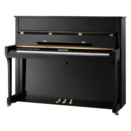Zimmermann Z120PE S2 Upright Piyano (Parlak Siyah)<br>Fotoğraf: 1/1